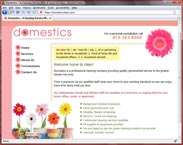 domesticsclean.com
